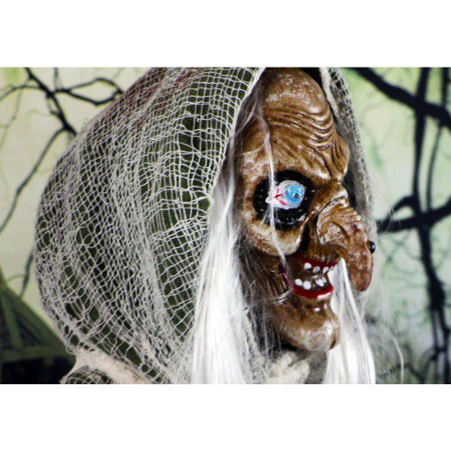 Haunted Hill Farm HHWITCH-7FLSA - 10